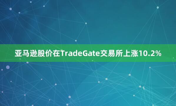 亚马逊股价在TradeGate交易所上涨10.2%