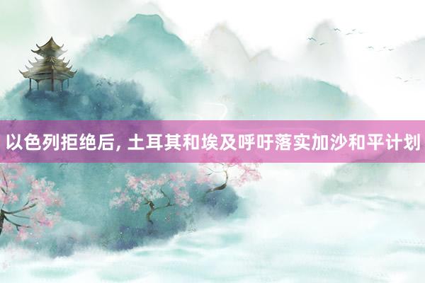 以色列拒绝后, 土耳其和埃及呼吁落实加沙和平计划