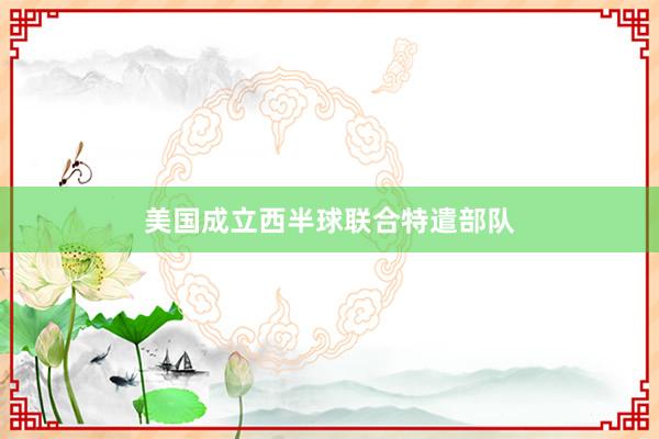 美国成立西半球联合特遣部队