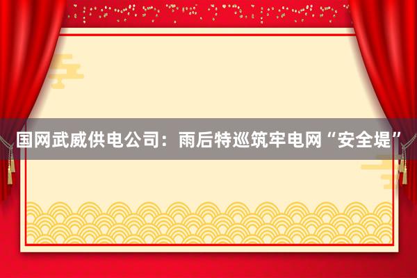 国网武威供电公司：雨后特巡筑牢电网“安全堤”