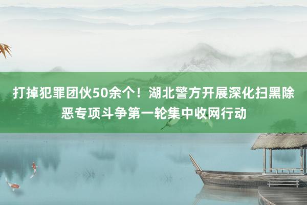 打掉犯罪团伙50余个！湖北警方开展深化扫黑除恶专项斗争第一轮集中收网行动