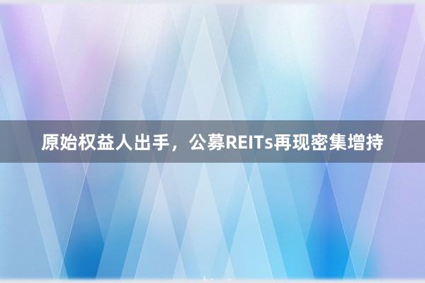 原始权益人出手，公募REITs再现密集增持