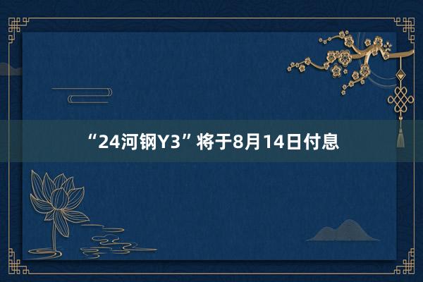 “24河钢Y3”将于8月14日付息