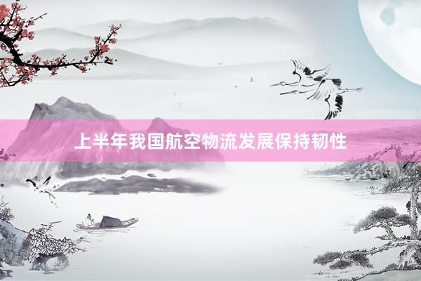 上半年我国航空物流发展保持韧性