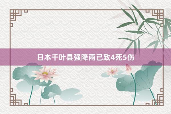 日本千叶县强降雨已致4死5伤