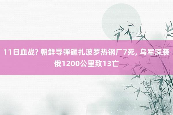 11日血战? 朝鲜导弹砸扎波罗热钢厂7死, 乌军深袭俄1200公里致13亡