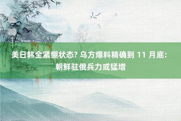 美日韩全紧绷状态? 乌方爆料精确到 11 月底: 朝鲜驻俄兵力或猛增