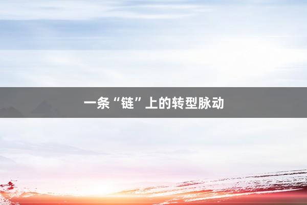 一条“链”上的转型脉动