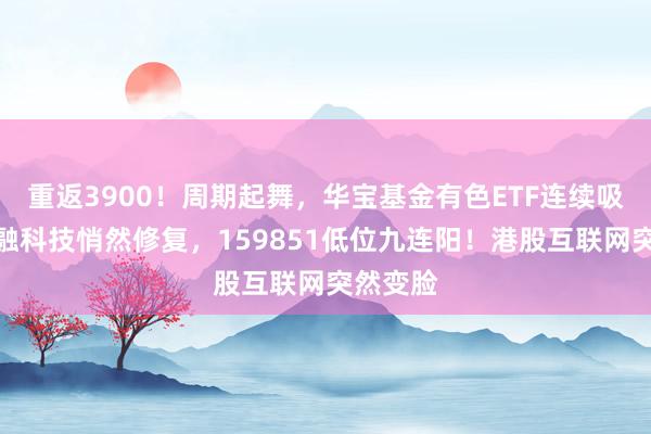 重返3900！周期起舞，华宝基金有色ETF连续吸金，金融科技悄然修复，159851低位九连阳！港股互联网突然变脸