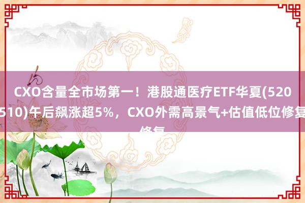 CXO含量全市场第一！港股通医疗ETF华夏(520510)午后飙涨超5%，CXO外需高景气+估值低位修复