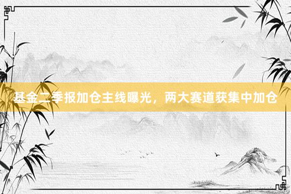 基金二季报加仓主线曝光，两大赛道获集中加仓