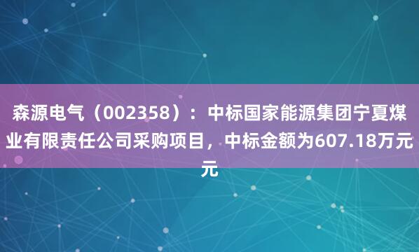 森源电气（002358）：中标国家能源集团宁夏煤业有限责任公司采购项目，中标金额为607.18万元