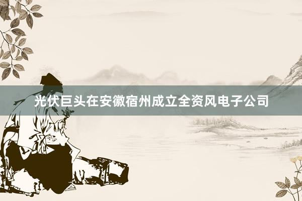 光伏巨头在安徽宿州成立全资风电子公司