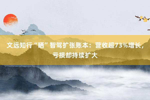 文远知行“晒”智驾扩张账本：营收超73%增长，亏损却持续扩大