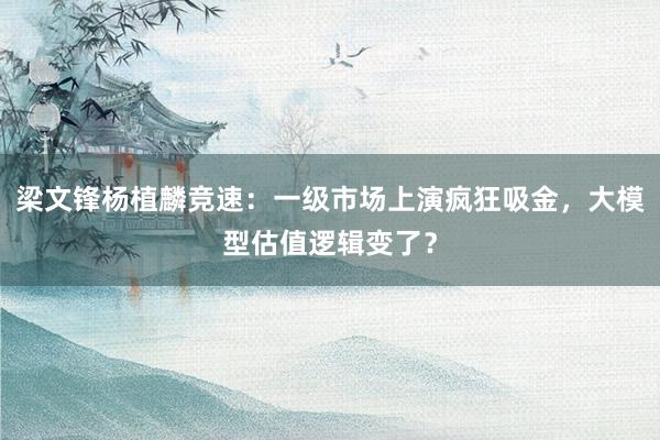 梁文锋杨植麟竞速：一级市场上演疯狂吸金，大模型估值逻辑变了？