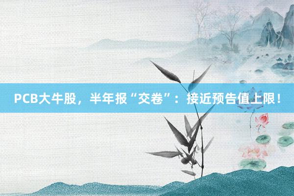 PCB大牛股，半年报“交卷”：接近预告值上限！