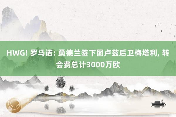HWG! 罗马诺: 桑德兰签下图卢兹后卫梅塔利, 转会费总计3000万欧