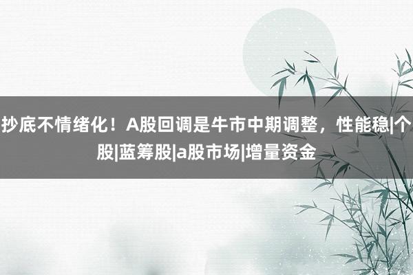 抄底不情绪化!A股回调是牛市中期调整,性能稳|个股|蓝筹股|a股市场|增量资金