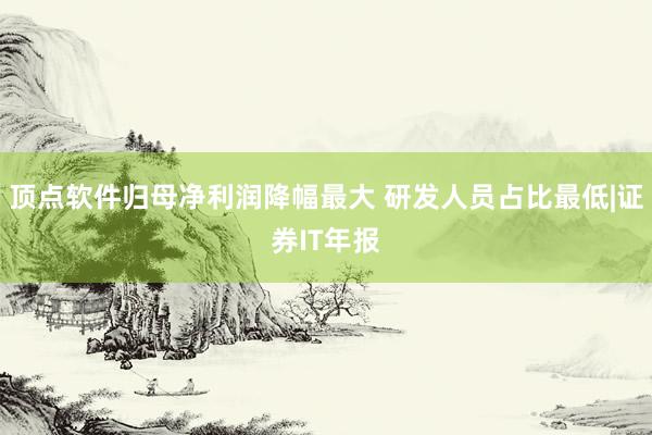 顶点软件归母净利润降幅最大 研发人员占比最低|证券IT年报