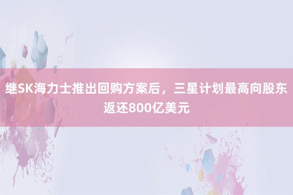 继SK海力士推出回购方案后，三星计划最高向股东返还800亿美元