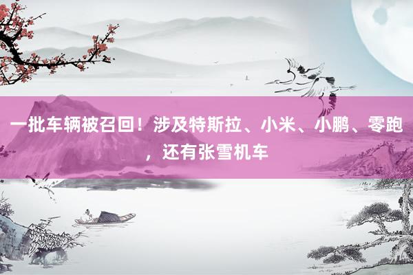 一批车辆被召回！涉及特斯拉、小米、小鹏、零跑，还有张雪机车