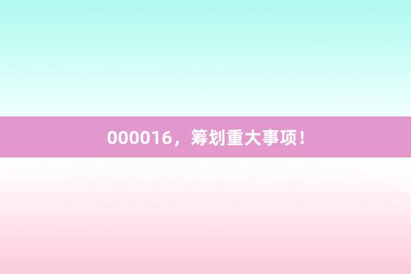 000016，筹划重大事项！