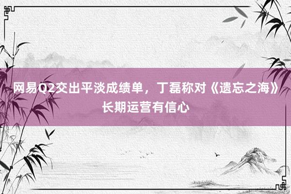 网易Q2交出平淡成绩单，丁磊称对《遗忘之海》长期运营有信心