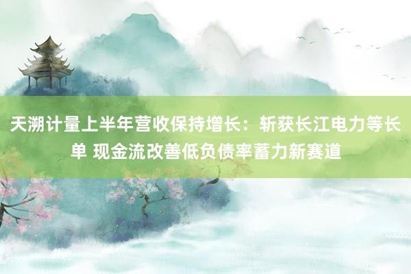 天溯计量上半年营收保持增长：斩获长江电力等长单 现金流改善低负债率蓄力新赛道