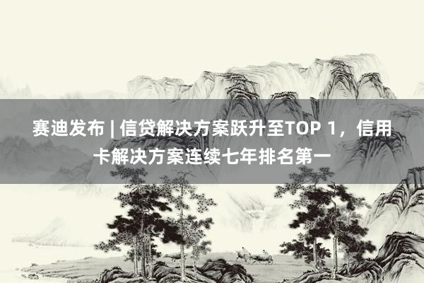 赛迪发布 | 信贷解决方案跃升至TOP 1，信用卡解决方案连续七年排名第一