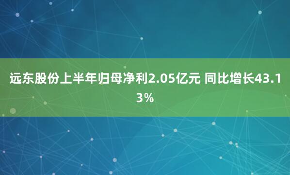 远东股份上半年归母净利2.05亿元 同比增长43.13%
