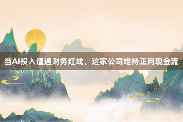 当AI投入遭遇财务红线,这家公司维持正向现金流