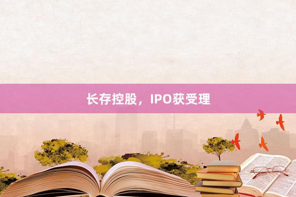 长存控股，IPO获受理
