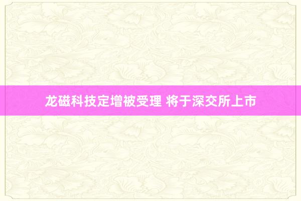 龙磁科技定增被受理 将于深交所上市