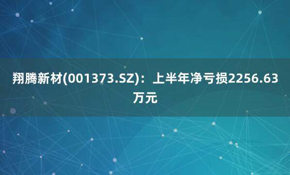 翔腾新材(001373.SZ)：上半年净亏损2256.63万元