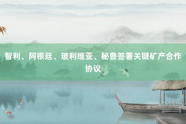 智利、阿根廷、玻利维亚、秘鲁签署关键矿产合作协议