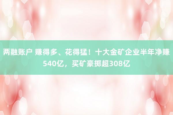 两融账户 赚得多、花得猛！十大金矿企业半年净赚540亿，买矿豪掷超308亿