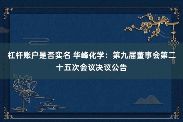 杠杆账户是否实名 华峰化学：第九届董事会第二十五次会议决议公告
