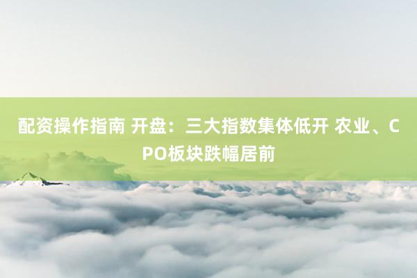 配资操作指南 开盘：三大指数集体低开 农业、CPO板块跌幅居前