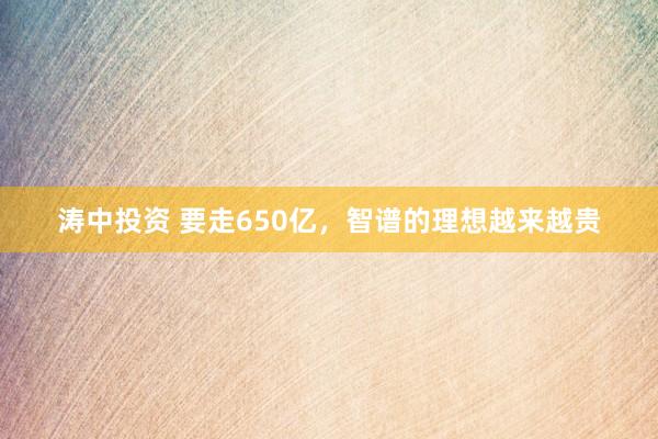 涛中投资 要走650亿，智谱的理想越来越贵