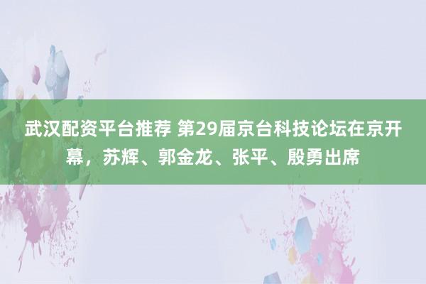 武汉配资平台推荐 第29届京台科技论坛在京开幕，苏辉、郭金龙、张平、殷勇出席