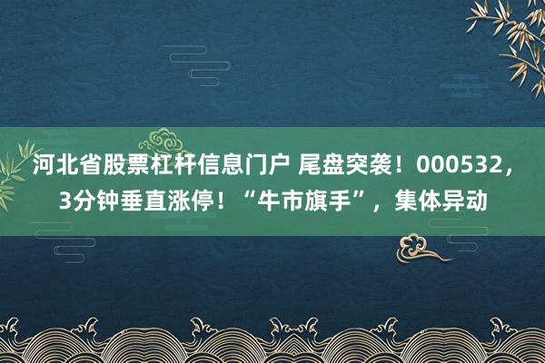 河北省股票杠杆信息门户 尾盘突袭！000532，3分钟垂直涨停！“牛市旗手”，集体异动