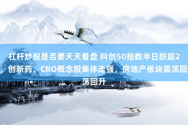 杠杆炒股是否要天天看盘 科创50指数半日跌超2%，创新药、CRO概念股集体走强，房地产板块震荡回升