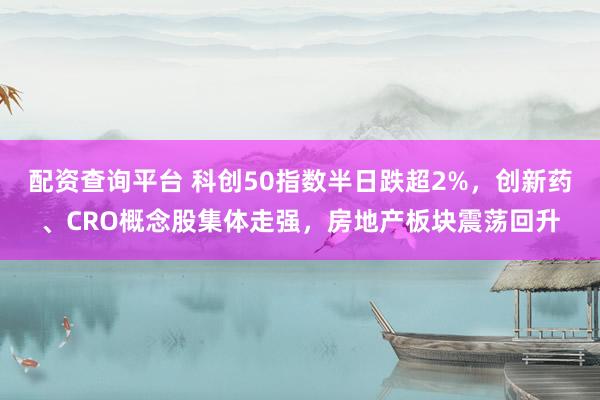 配资查询平台 科创50指数半日跌超2%，创新药、CRO概念股集体走强，房地产板块震荡回升