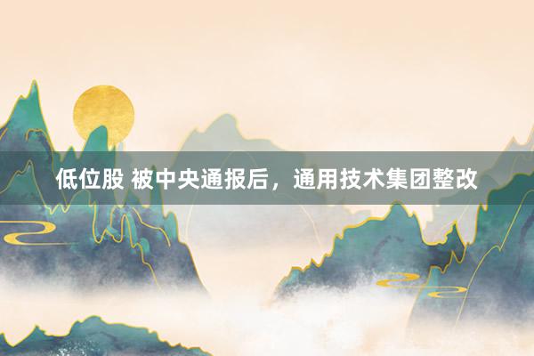低位股 被中央通报后，通用技术集团整改