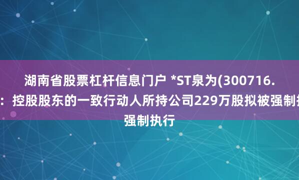 湖南省股票杠杆信息门户 *ST泉为(300716.SZ)：控股股东的一致行动人所持公司229万股拟被强制执行