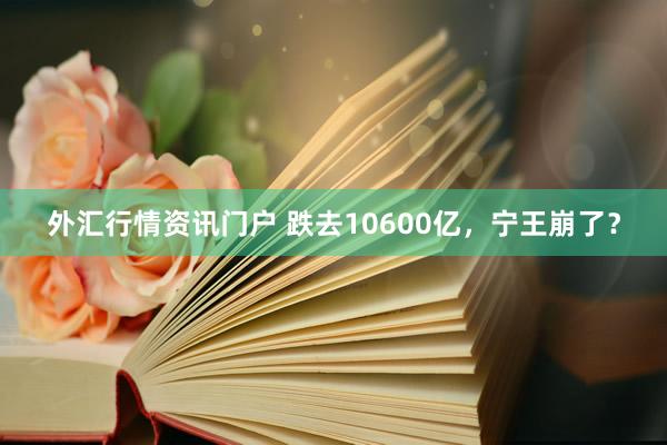 外汇行情资讯门户 跌去10600亿,宁王崩了?