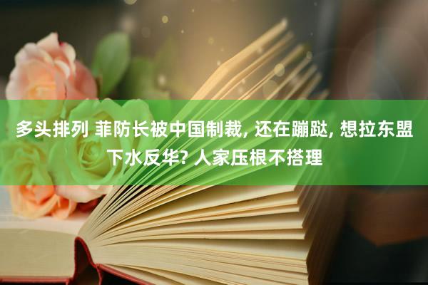 多头排列 菲防长被中国制裁, 还在蹦跶, 想拉东盟下水反华? 人家压根不搭理