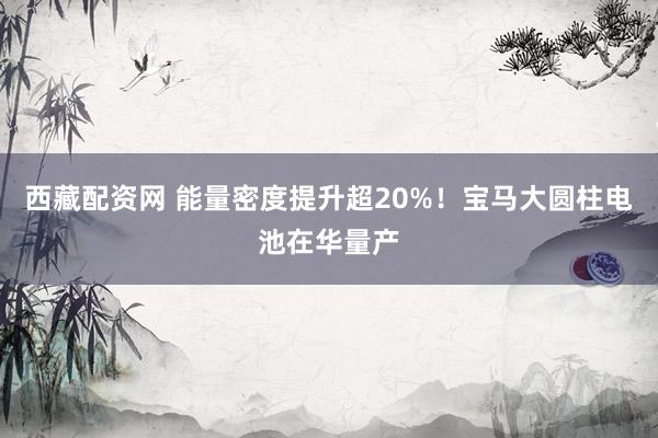 西藏配资网 能量密度提升超20%！宝马大圆柱电池在华量产